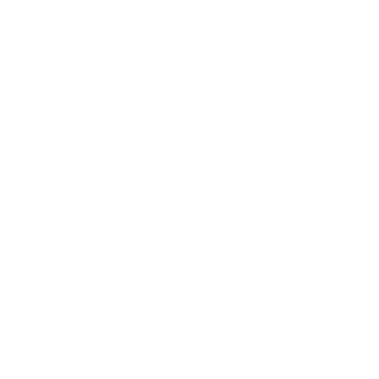 Logo SERVICES FUNERAIRES ORGANISATION