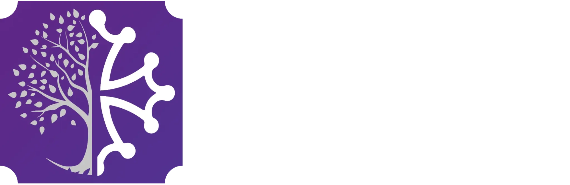Logo POMPES FUNÈBRES Sanchez